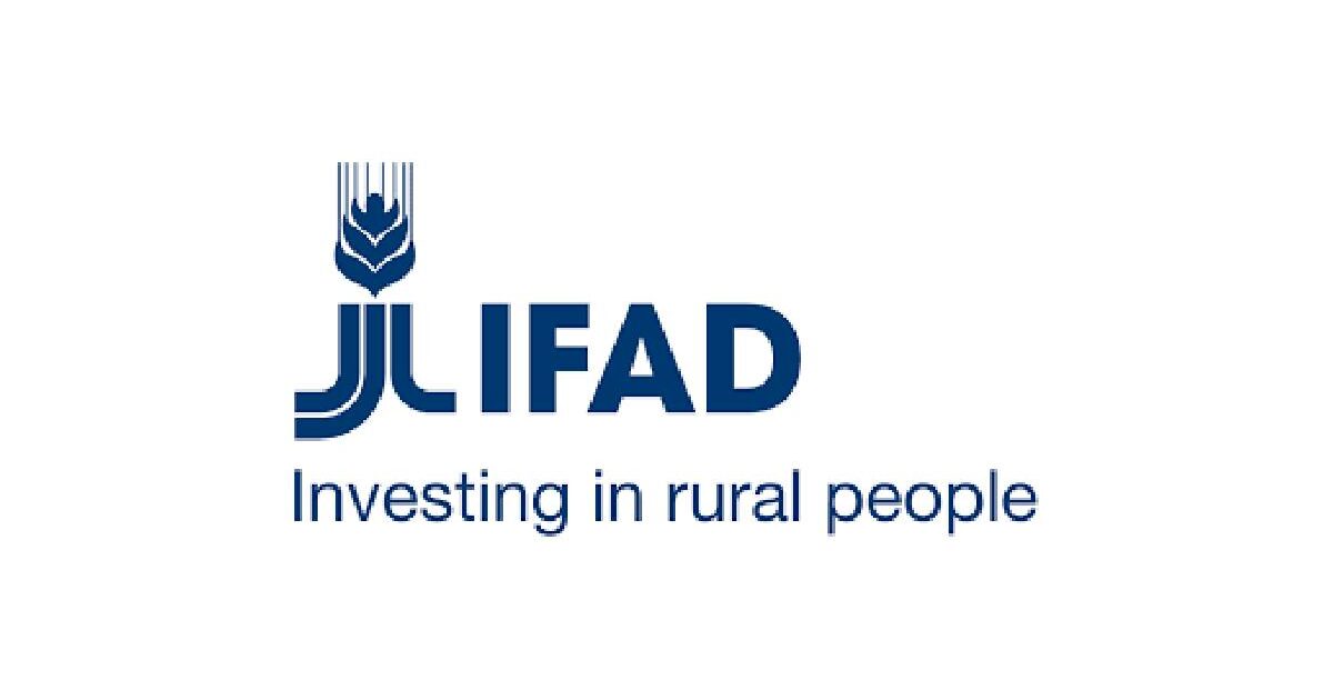 IFAD Internship