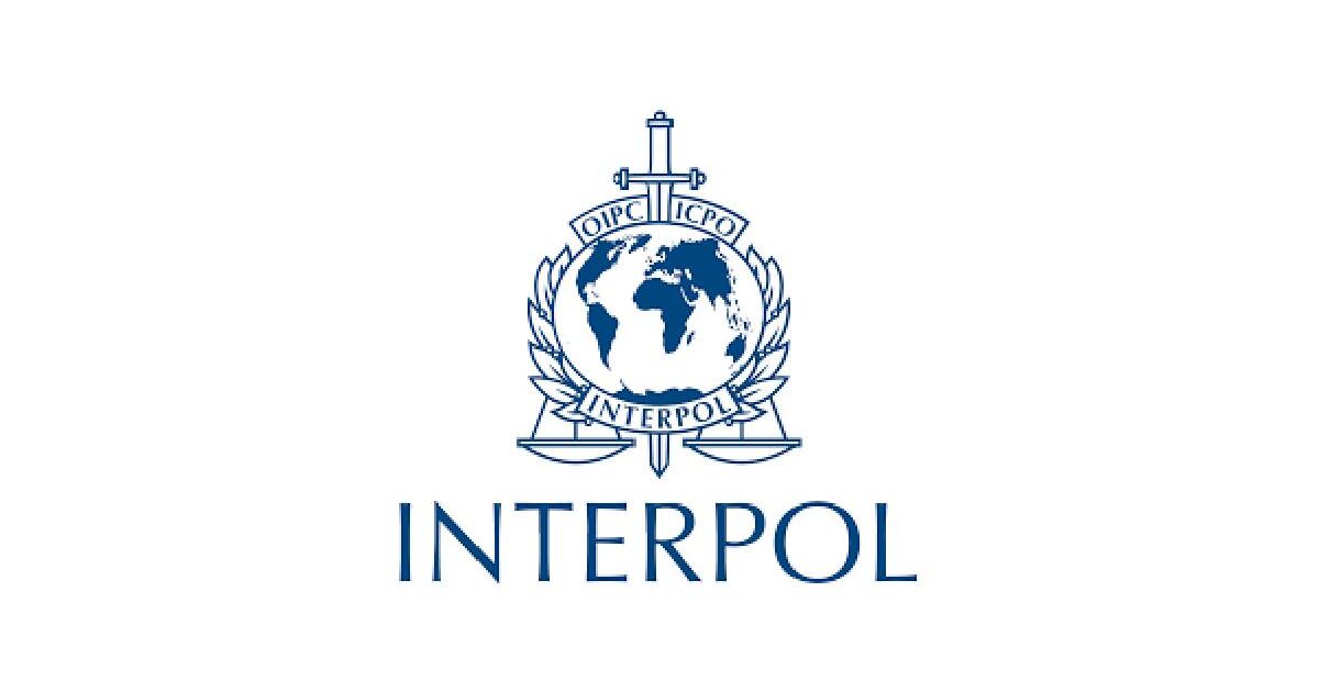 Interpol Internship