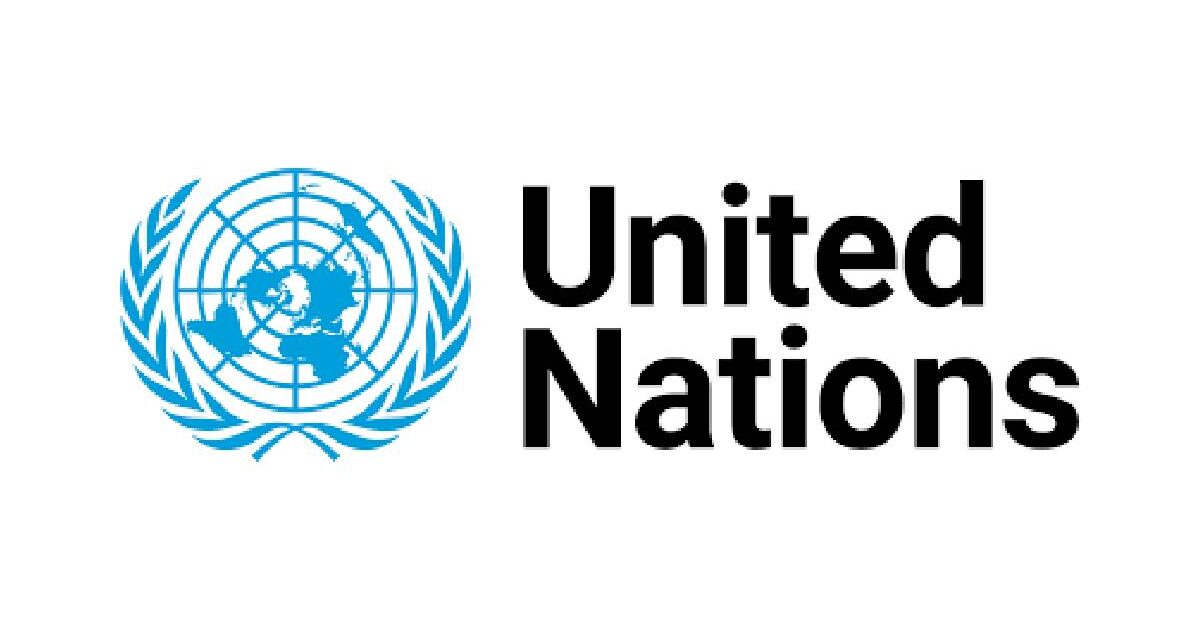 UN Internship